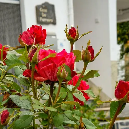 Nyaraló Casa Do Ferreiro Góis