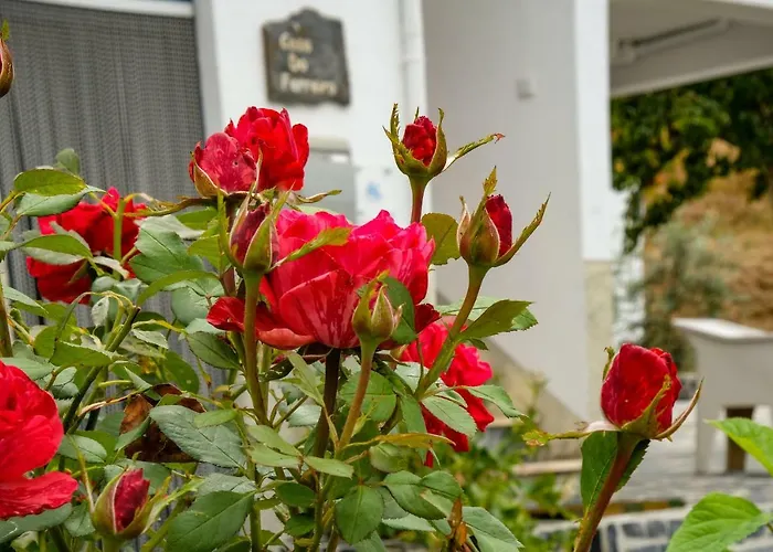 Nyaraló Casa Do Ferreiro Góis