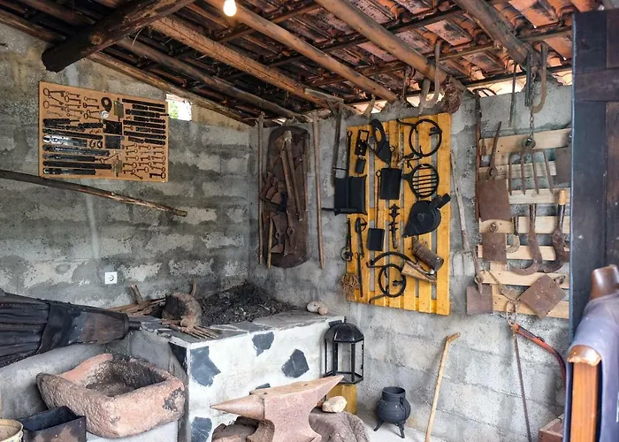 Casa Do Ferreiro * Gois